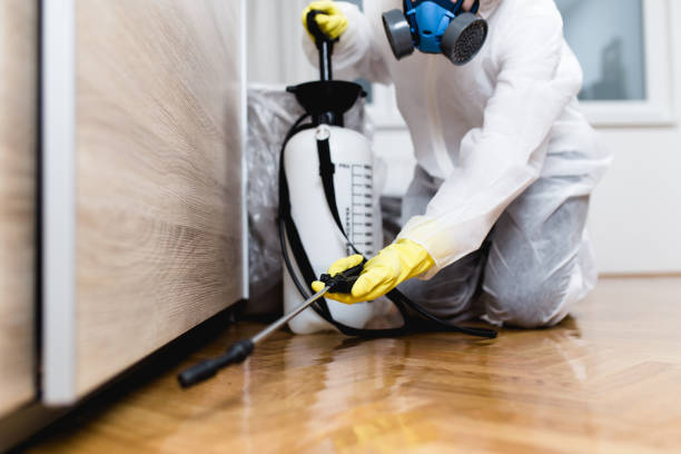 Best Wasp Removal Services  in The Plains, OH