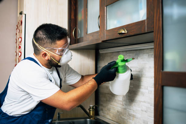 Best Exterminator Services  in The Plains, OH