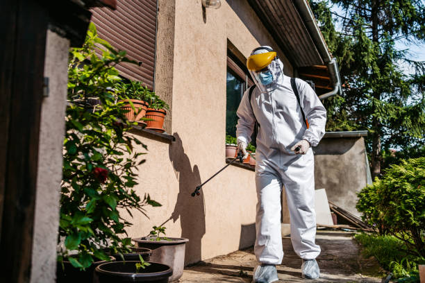 Best Pest Removal Services  in The Plains, OH