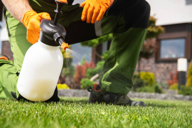Pest Control for Restaurants in The Plains, OH